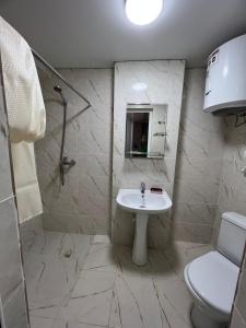 博斯特里Гостевой дом Razamlux的一间带水槽、淋浴和卫生间的浴室