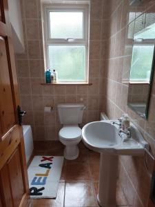恩尼斯Home in Ennis的一间带卫生间、水槽和窗户的浴室