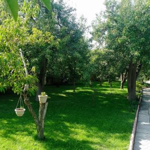 乔尔蓬阿塔Private Luxury Villa - Issyk Kul的绿意盎然的庭院,草地上设有秋千