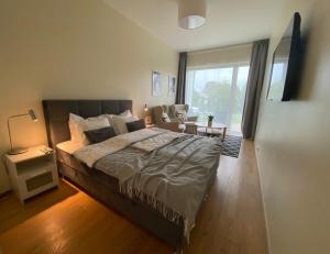 派尔努Lovely Aisa apartment in Pärnu的一间带大床的卧室和一间客厅