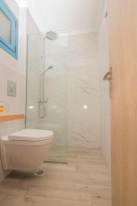瓦西利基AκrotiriResort的一间带卫生间和玻璃淋浴间的浴室