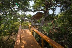 Guernsey Nature ReserveLion Tree Top Lodge的相册照片