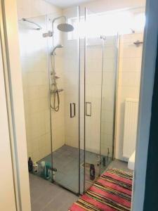 奈梅亨Compleet huis in Nijmegen的浴室设有玻璃淋浴间,铺着地毯