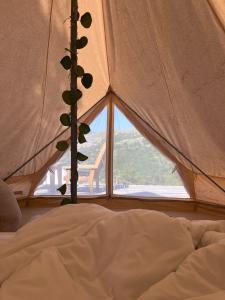 DseghAlereks Mountain Camping的一间卧室,配有一个帐篷,里面有一棵树