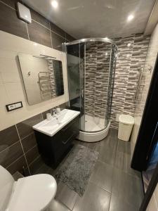 陶格夫匹尔斯AIVI apartments的浴室配有卫生间、淋浴和盥洗盆。