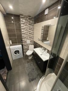 陶格夫匹尔斯AIVI apartments的浴室配有卫生间、盥洗盆和洗衣机。