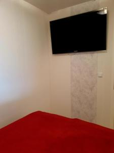 阿尔特瑙CrisAnd 3 Panoramic的墙上配有平面电视的房间