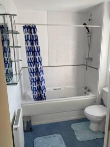 新港Contemporary Coach House in Newport, Isle of Wight的浴室配有白色浴缸、卫生间和浴缸。