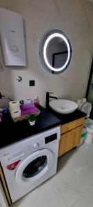 斯科普里The Modern Lodge的一间带洗衣机和水槽的浴室
