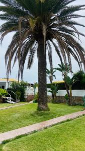 马斯帕洛马斯Villa Siena, in the center of Playa del Ingles, close to CC Jumbo的公园里棕榈树,人行道