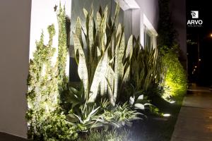特鲁希略阿沃精品酒店的一座花园,在建筑的一侧种植了植物