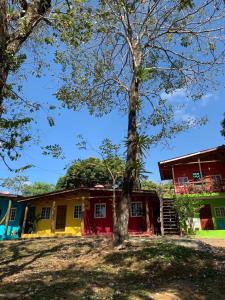 圣卡塔利娜岛Hostal Aguas Verdes的前面有一棵树的房子