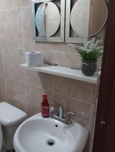 里奥格兰德El Yunque White House的一间带水槽、卫生间和镜子的浴室