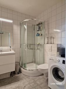 特隆赫姆Leilighet med utsikt ved bymarka的带淋浴、卫生间和洗衣机的浴室