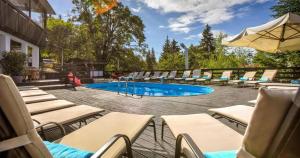波亚纳布拉索夫Poiana Brasov Alpin Resort Hotel Aparthotel 2204, private property的一组躺椅和一个游泳池