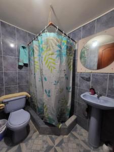 拉塔昆加Como en casa的浴室设有淋浴帘、卫生间和水槽