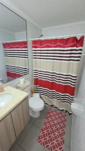 伊基克departamento cercano a mall zofri的一间带卫生间和淋浴帘的浴室