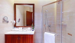 石家庄石家庄云瑞酒店（正定新区）的带淋浴、盥洗盆和镜子的浴室