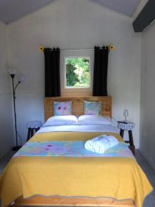 蒙泰韦尔德哥斯达黎加Lissadell Country House的一间卧室配有一张带黄色毯子和窗户的床