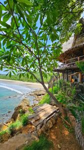 托拉Monkey House Hostel的海滩旁树下的木凳