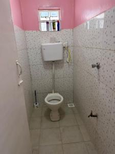 KerichoRuth's Studio - Kericho的浴室设有位于粉红色摊位的卫生间