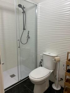 锡拉库扎Ortigia Loft Via Malta, 22的一间带卫生间和玻璃淋浴间的浴室