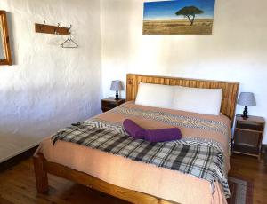 萨尼山口Sani Lodge and Backpackers Sani Pass South Africa的小卧室配有一张带毯子的床