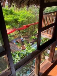 阿姆巴托洛阿卡Moemoea Lodge的享有花园的植物和吊床的景色