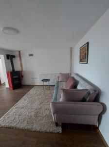 科帕奥尼克Apartmani Milosevic的带沙发和地毯的客厅