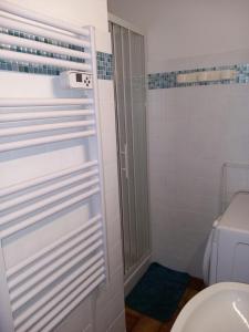 欧特吕斯Appartement chalet en plein centre des Saisies的带淋浴和卫生间的浴室