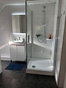 杜伊斯堡A&V Apartments Gemütliche Rheinblick Wohnung的浴室里设有玻璃门淋浴