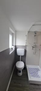 施托尔贝格Workers apartment in Stolberg的一间带卫生间和淋浴的小浴室