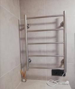 克莱佩达Bridge Apartments Klaipeda的浴室内设有带金属毛巾架的淋浴