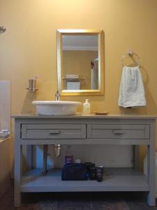 弗里尼欣Sugarbush Accommodation的一间带水槽和镜子的浴室
