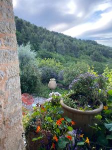 塞扬Tiny House au coeur des Combes的一座种满鲜花的花园,一座山 ⁇ 的背景
