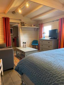 塞扬Tiny House au coeur des Combes的一间卧室配有一张床、一张书桌和一台电视