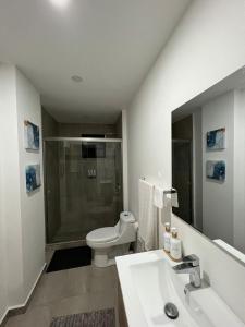 圣萨尔瓦多Paradise Apartment的浴室配有卫生间、盥洗盆和淋浴。