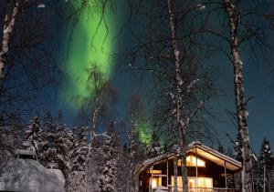 罗瓦涅米北极圈湖假日酒店的夜晚在树林中的小屋上方的极光