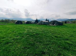 卡尔帕奇Camp66的草场上的一组帐篷