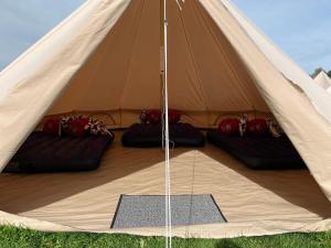 Festanation Oktoberfest Camp #2