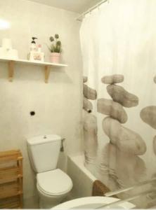 莫切Apartamento VISTAS AL MAR a 40 metros playa的一间带卫生间和一堆岩石的浴室