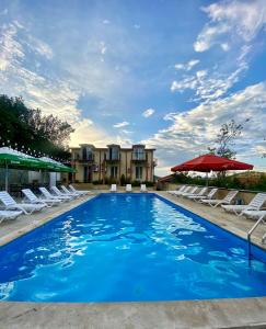 西格纳吉Hotel Traveler的一个带椅子和红伞的游泳池