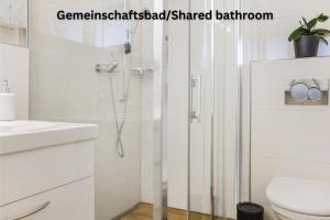 HinwilHaus zur Lilie的带淋浴和卫生间的白色浴室