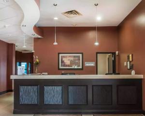多伦多机场北舒适酒店的一间酒吧,位于一间拥有棕色墙壁的等候室