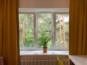 维萨吉纳斯Sunny apartment with lake and forest view的窗台上一盆盆植物的窗户