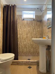 Omalolileo的浴室配有卫生间、盥洗盆和淋浴。