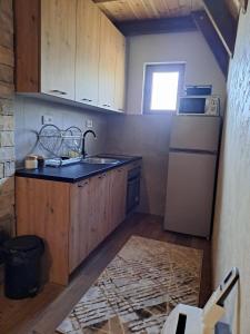 Motički GajVikendica 'Maša'的一间带水槽和冰箱的小厨房
