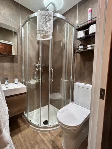 伊尔弗勒科姆The Devonshire Villa的带淋浴、卫生间和盥洗盆的浴室
