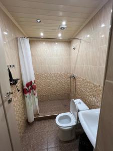 迪利然Balkonchik GuestHouse的一间带卫生间和水槽的小浴室
