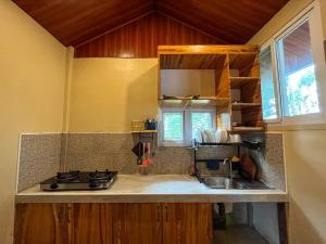 Manolo FortichDahilayan Comfy Cabin的厨房配有水槽和台面
